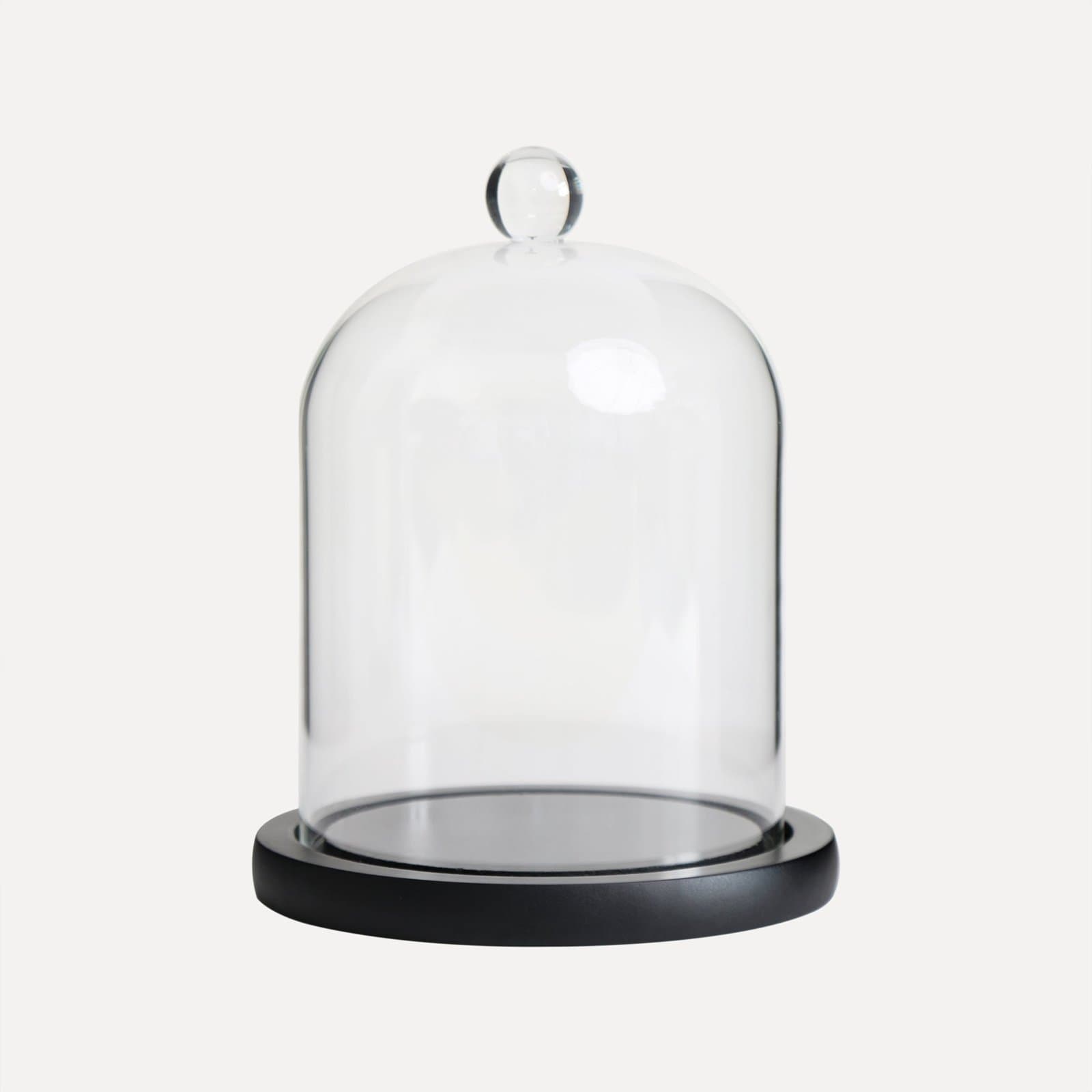 Vaucluse Glass Dome with Black Wooden Base
